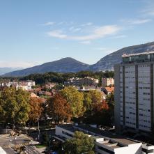 Vue sur le Salève et le Vieux Carouge